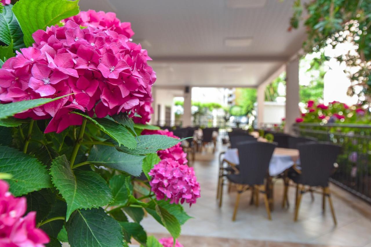 Hotel Suzana Budva Ngoại thất bức ảnh